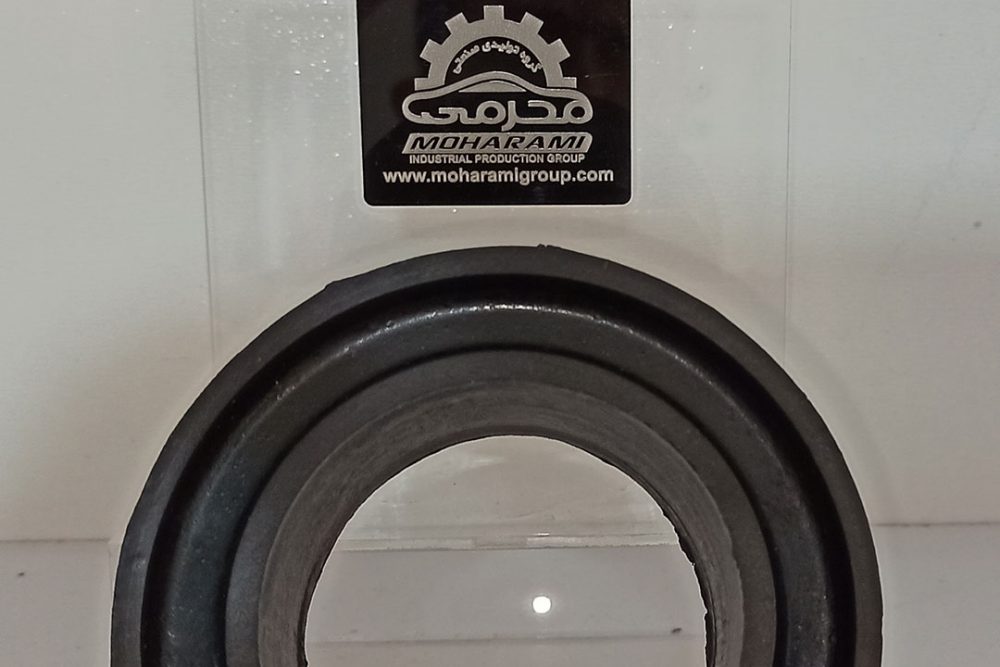 zir-fanari-cng-pride-2